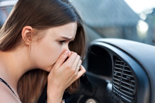 The Important Cabin Air Filter: What You Need to Know